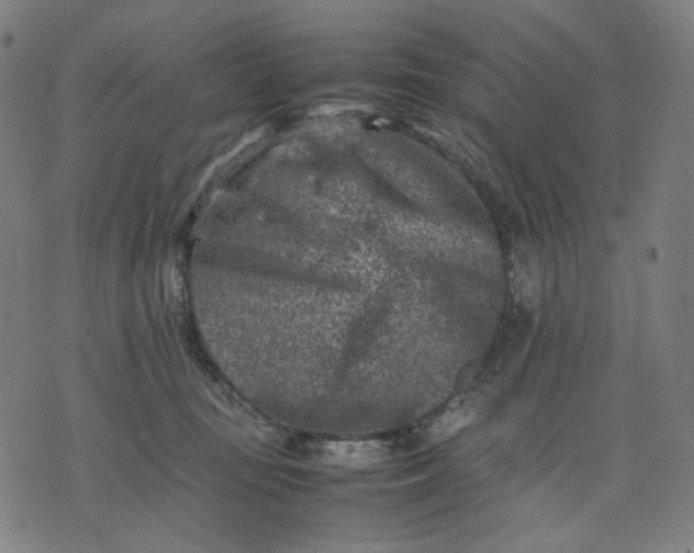 X0000074210371200609081537