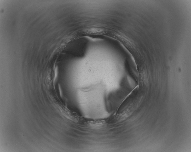 X0000074210373200609081537