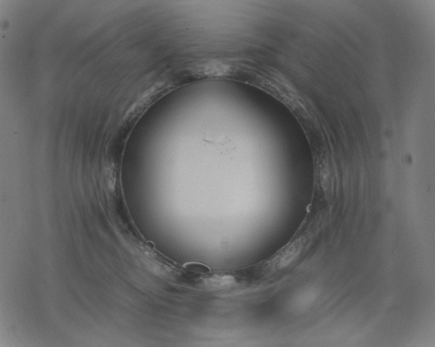 X0000074210374200609081537