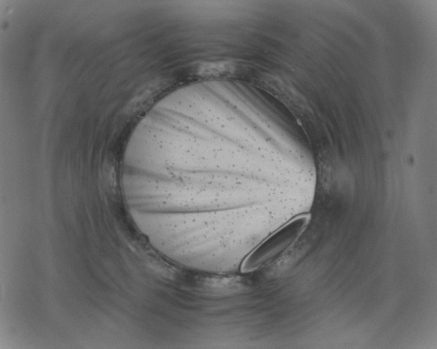 X0000074210375200609081537