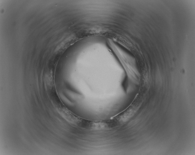 X0000074210376200609081537