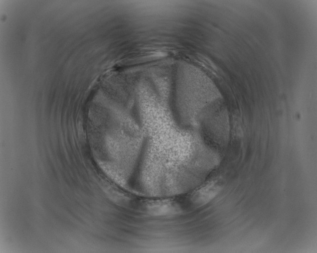 X0000074210377200609081537