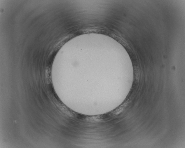 X0000074210378200609081537