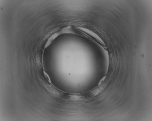 X0000074210380200609081537