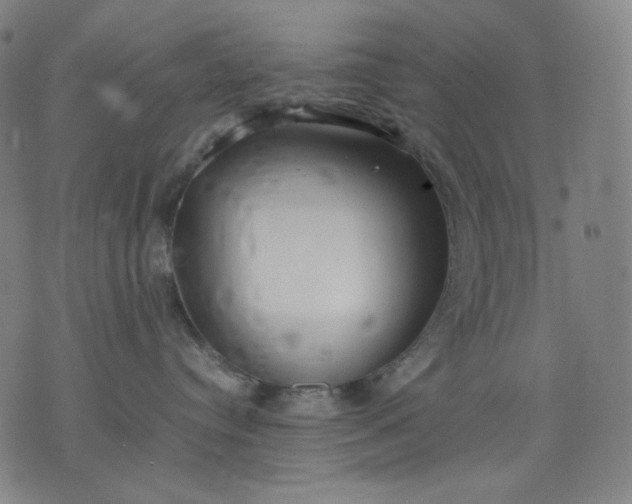 X0000074210384200609081537