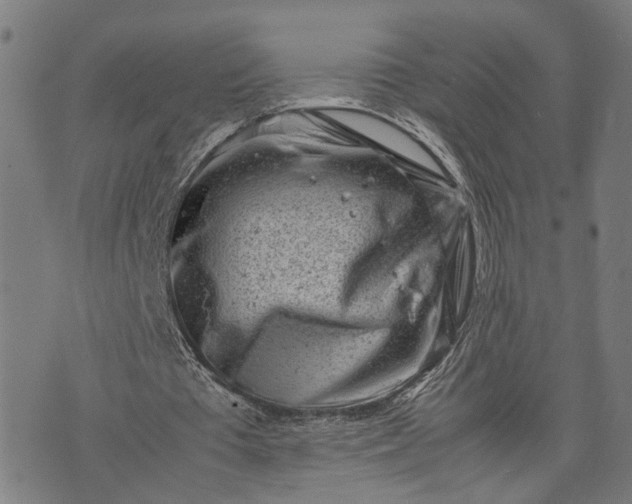 X0000074210385200609081536