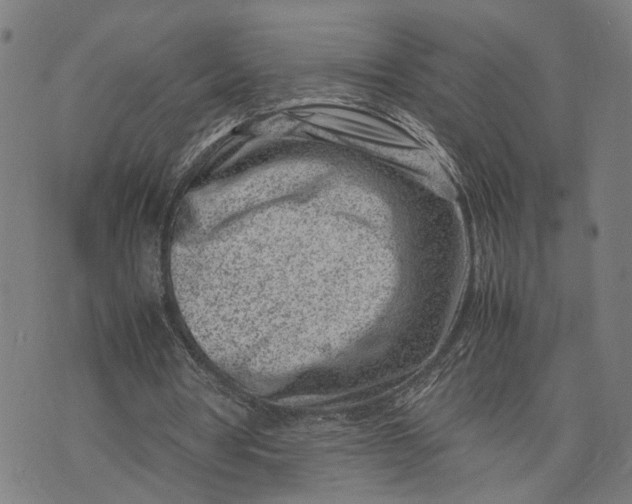 X0000074210386200609081536