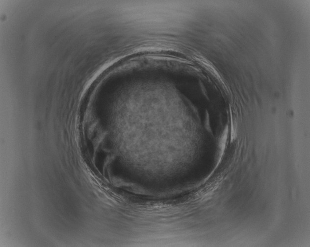 X0000074210387200609081536