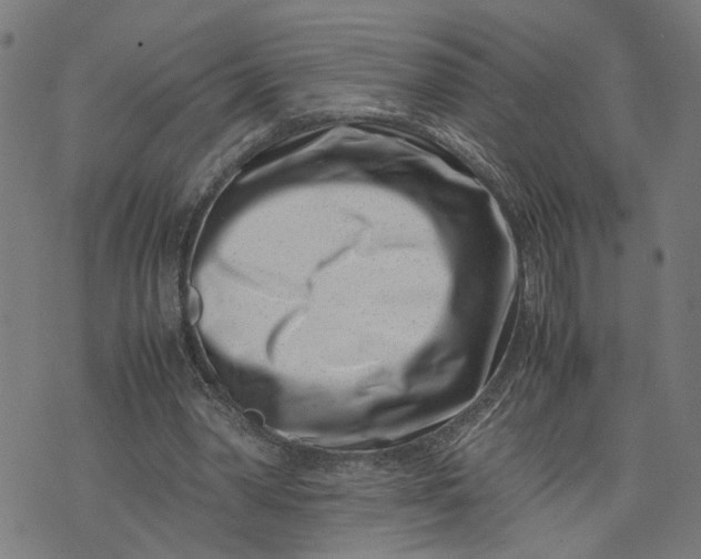 X0000074210390200609081536