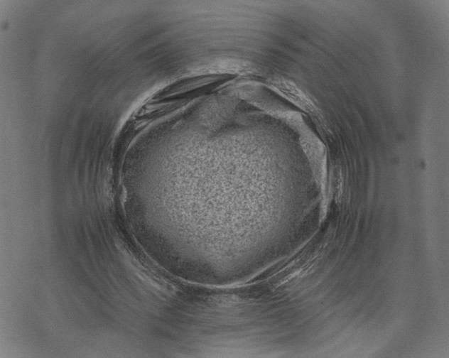 X0000074210392200609081536