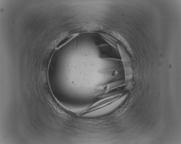 X0000074210393200609081536