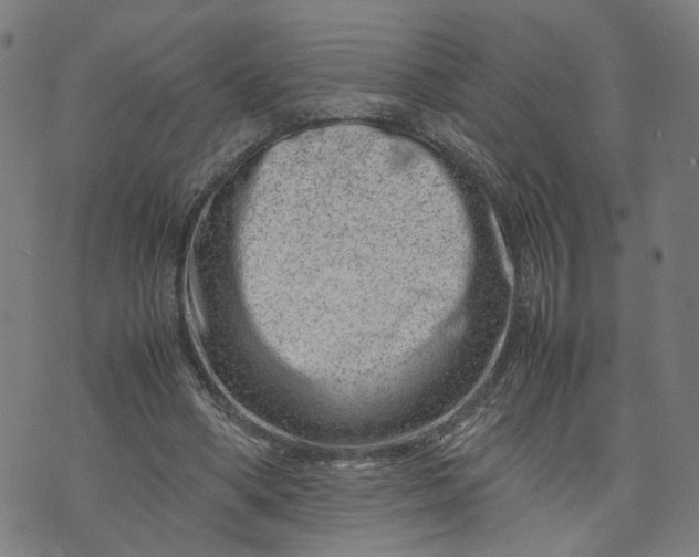 X0000074210394200609081536