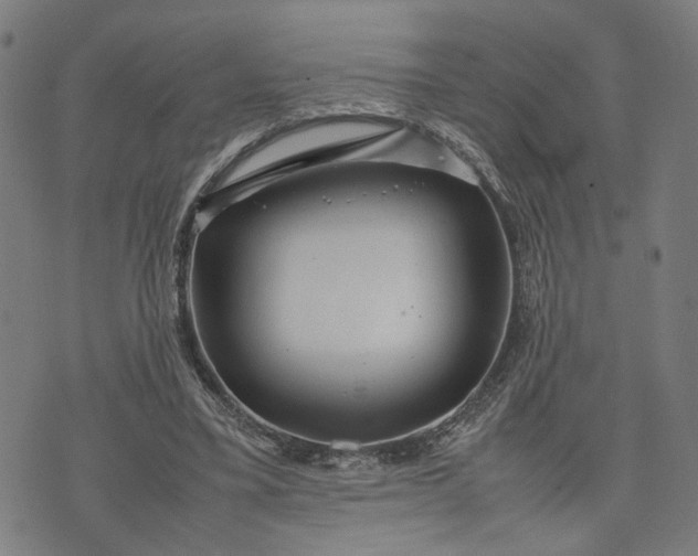 X0000074210395200609081536