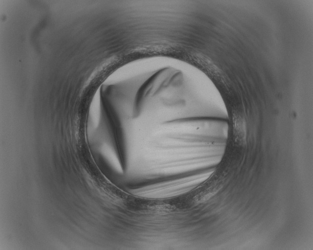 X0000074210396200609081536