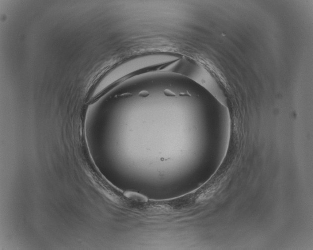 X0000074210397200609081536