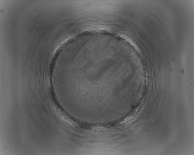 X0000074210399200609081536