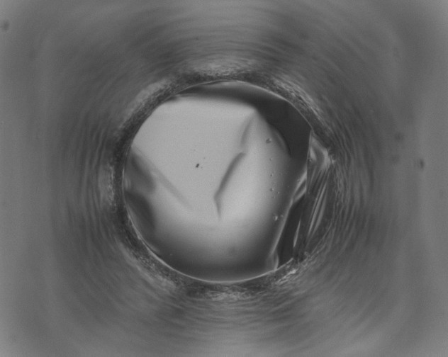 X0000074210400200609081536