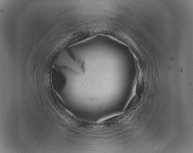 X0000074210401200609081536