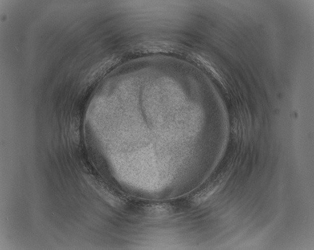 X0000074210402200609081536