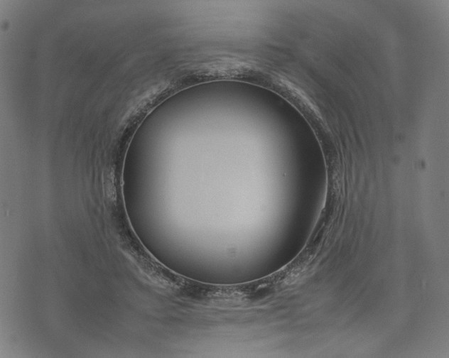 X0000074210403200609081536