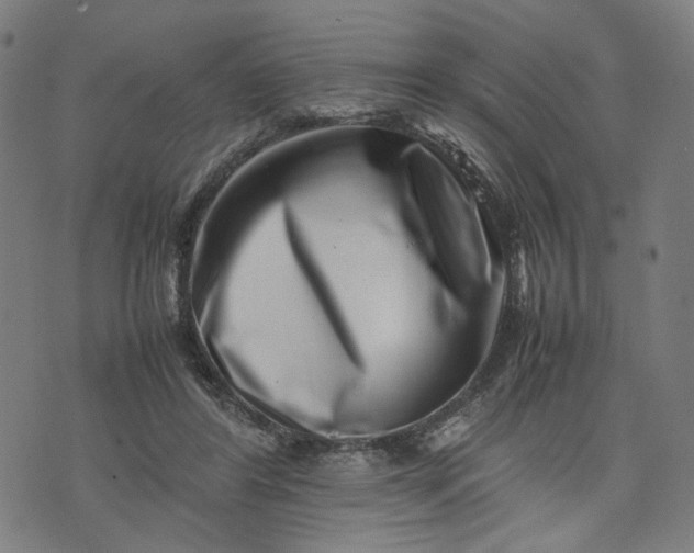 X0000074210404200609081536