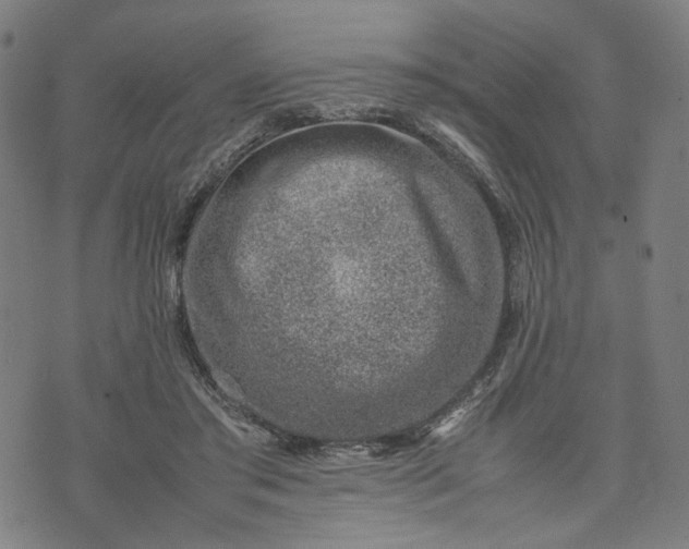 X0000074210405200609081536