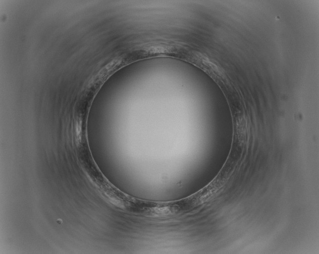 X0000074210406200609081536