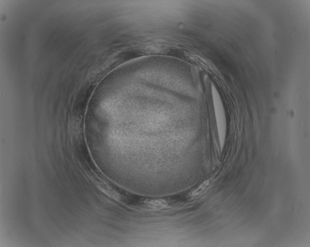 X0000074210409200609081536