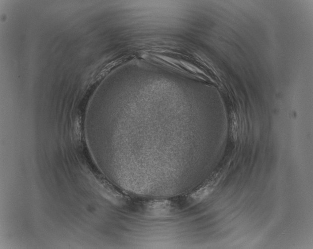 X0000074210410200609081536