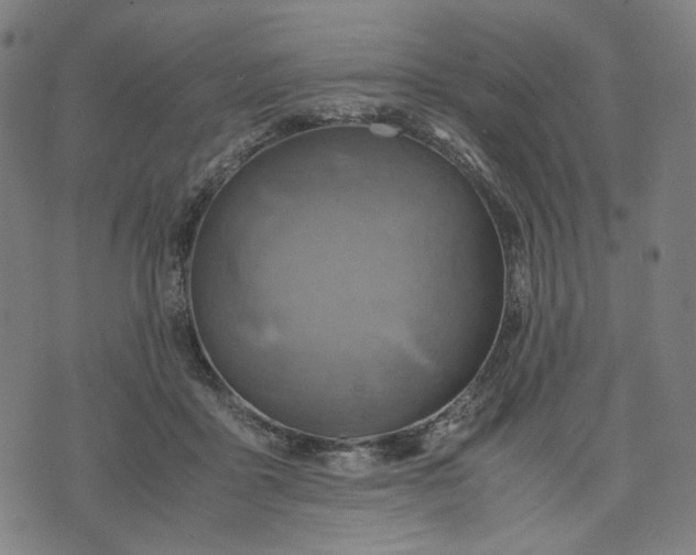 X0000074210411200609081536