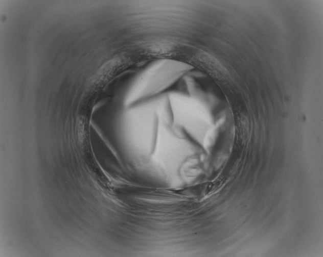 X0000074210412200609081536