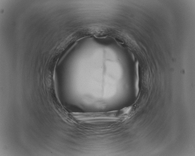 X0000074210413200609081536