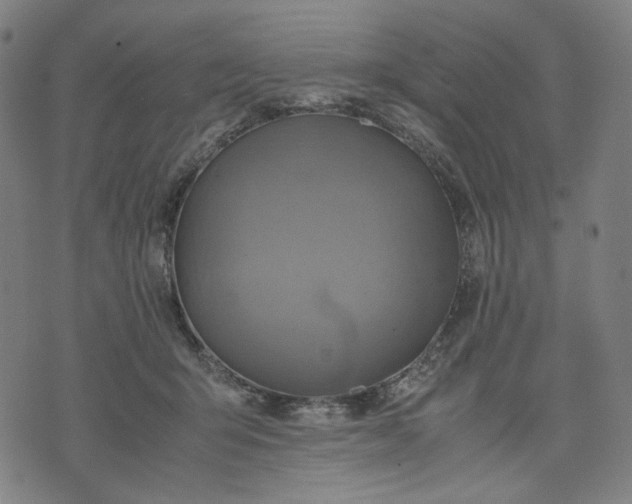 X0000074210415200609081536