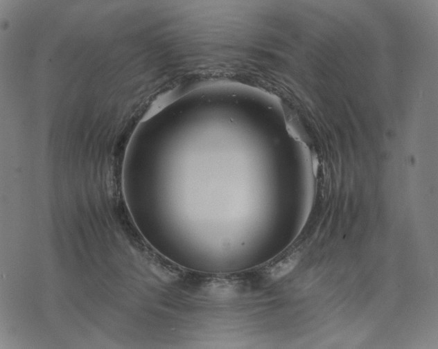 X0000074210416200609081536