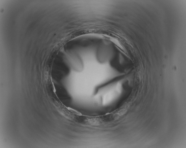 X0000074210417200609081536