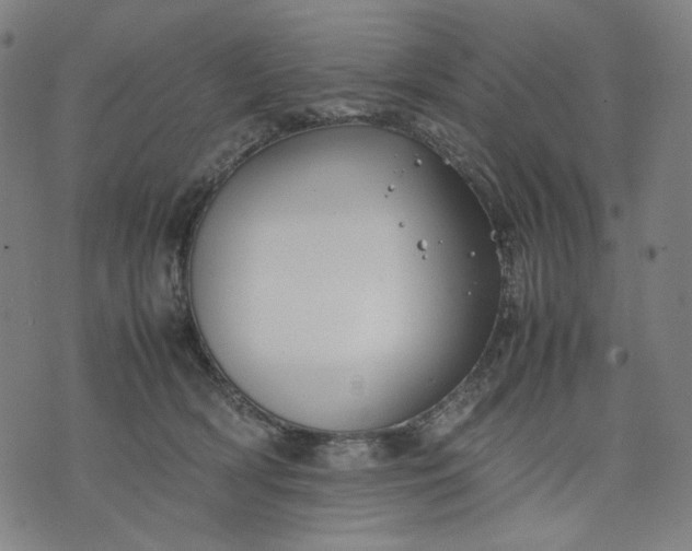 X0000074210418200609081536