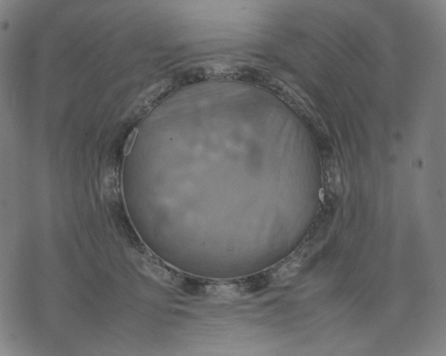 X0000074210419200609081536