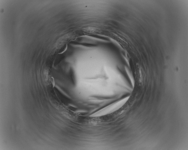 X0000074210420200609081536