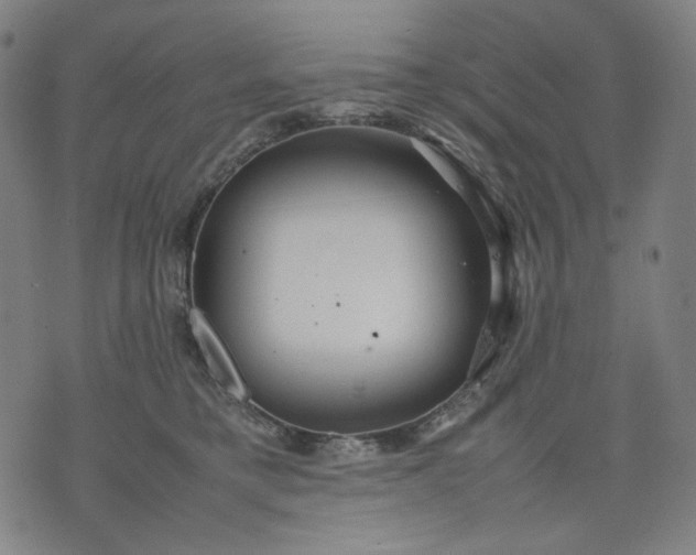 X0000074210421200609081536