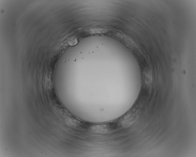 X0000074210422200609081536