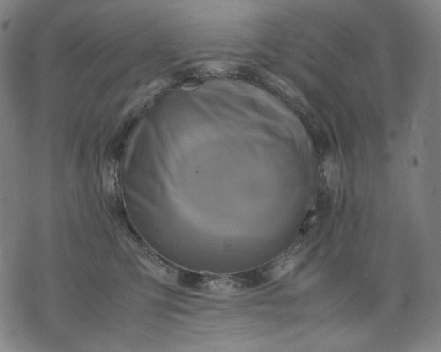 X0000074210423200609081536