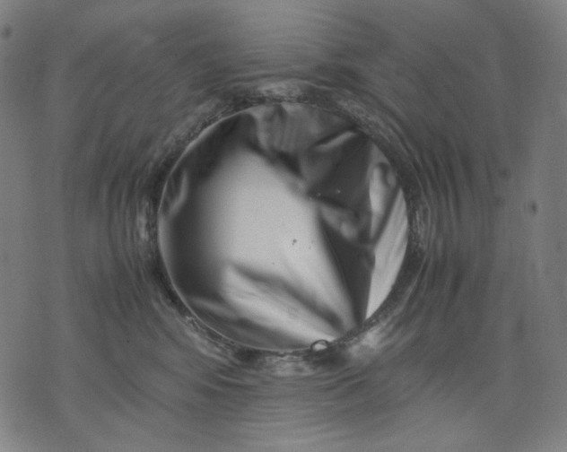 X0000074210424200609081536