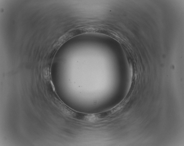 X0000074210425200609081536