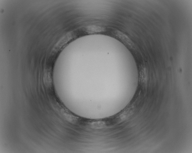 X0000074210426200609081536