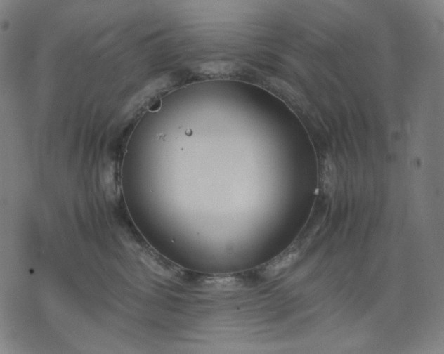 X0000074210428200609081535