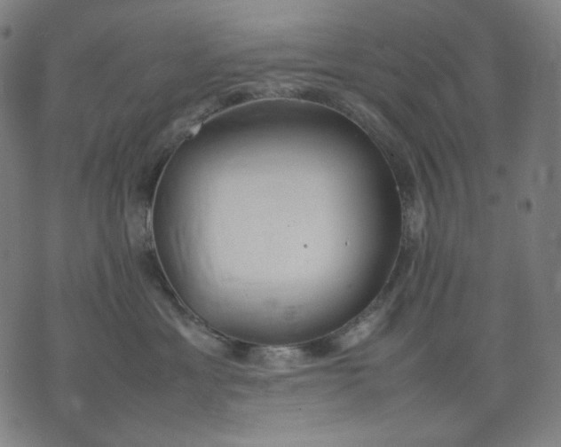 X0000074210429200609081535