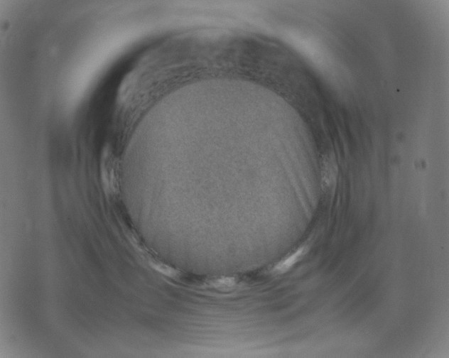 X0000074210431200609081535