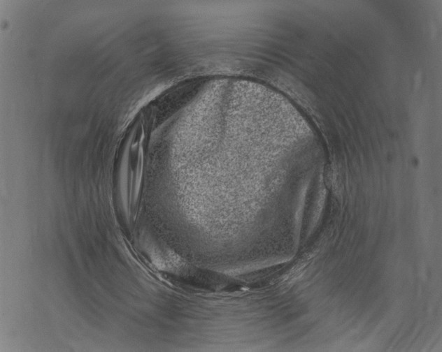 X0000074210434200609081535