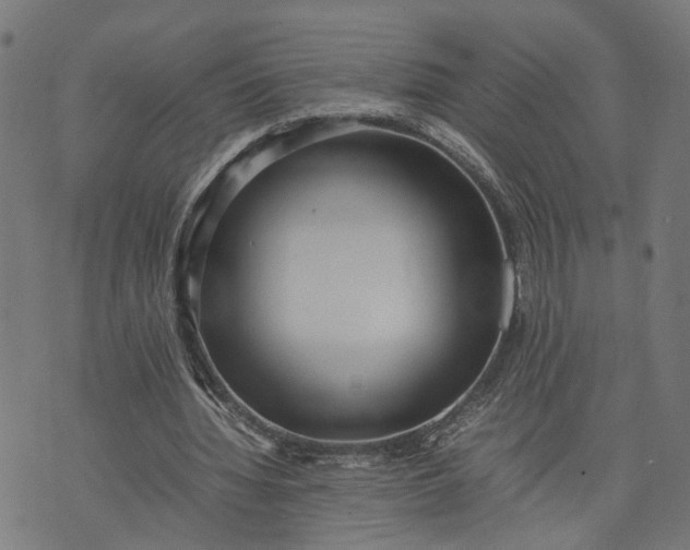 X0000074210436200609081535