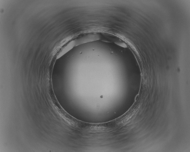 X0000074210437200609081535